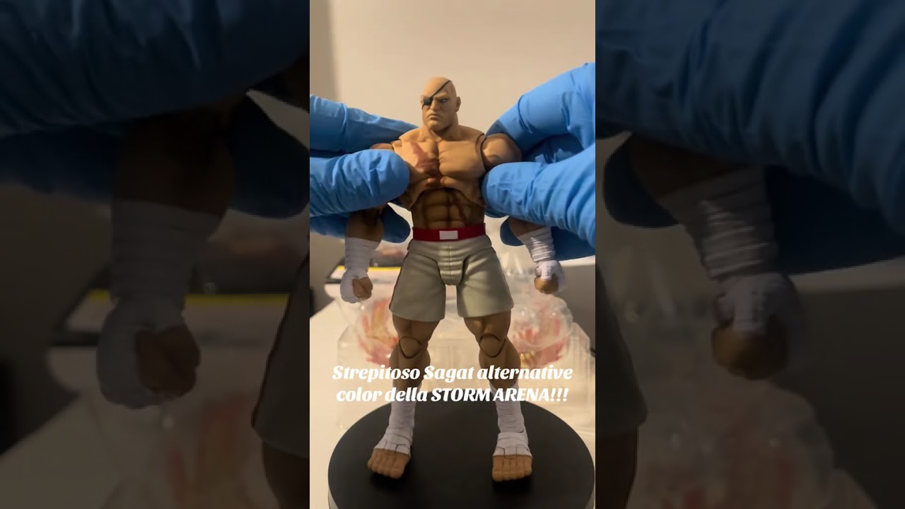 La grande Storm non sbaglia un colpo!!! Fantastico modello street fighter storm arena Sagat!!!