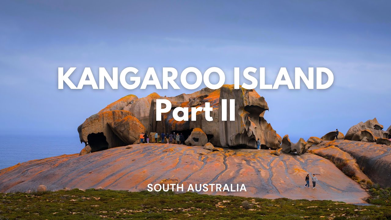 EXPLORING KANGAROO ISLAND - PART 2 (Seal Bay & Flinders Chase NP)
