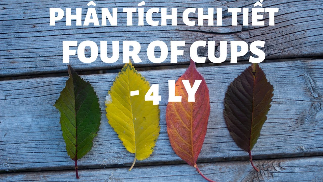 TỰ HỌC TAROT - Four of Cups/4 Ly - Hướng Dẫn Chi Tiết