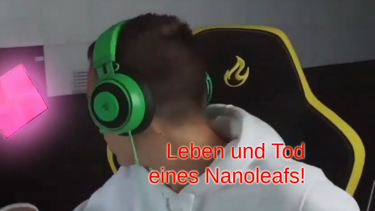Katze zerst&ouml;rt Nanoleafs - EchterAlphaKevin Stream