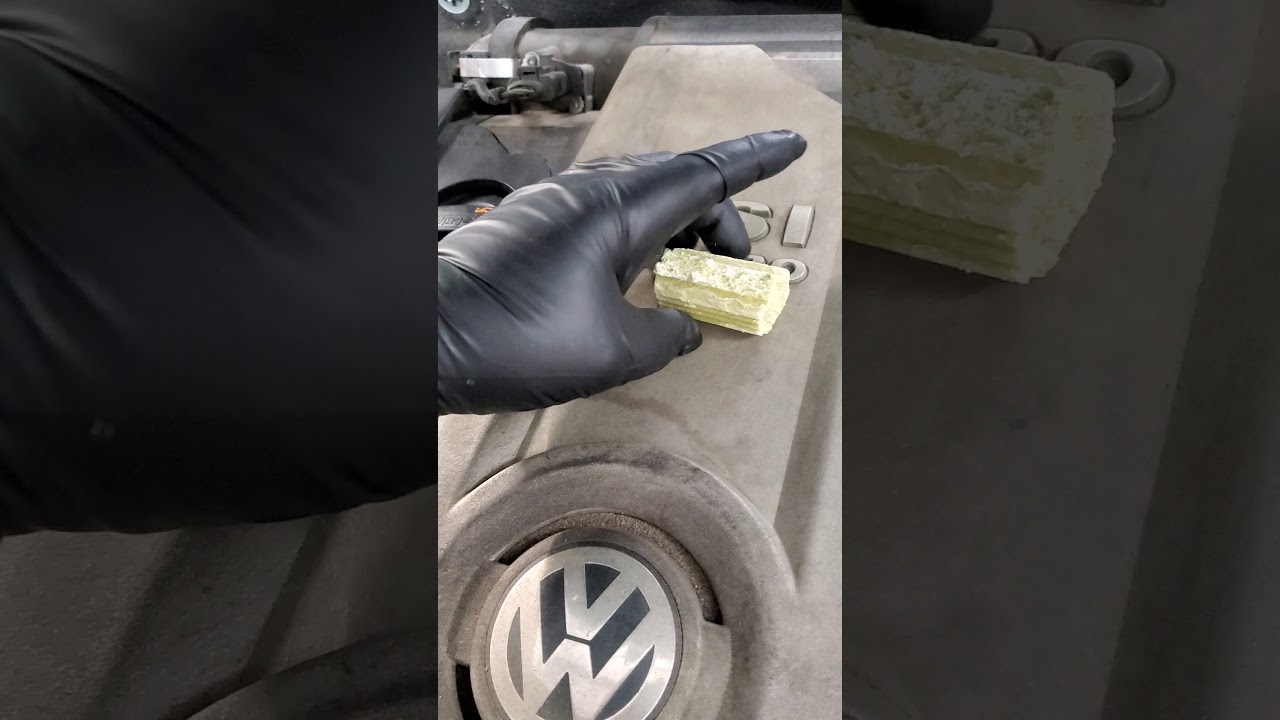 Rat or rodent damage prevention automobile 🚘