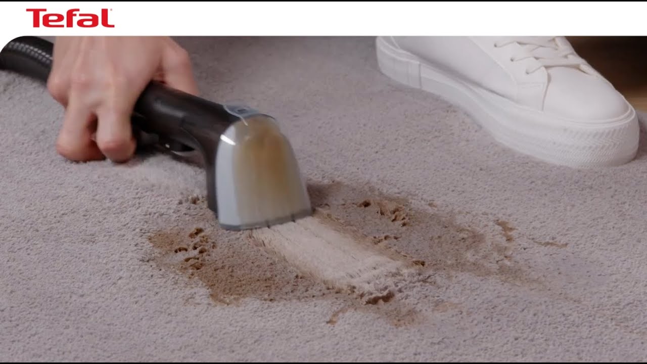 Jak skutecznie usunąć plamę? | Odkurzacz piorący Tefal Clean It (IZ5020)