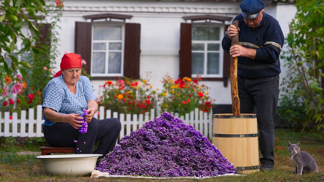 Grape Harvesting and Making Homemade Wine / Life In The Village of a Happy Old Couple