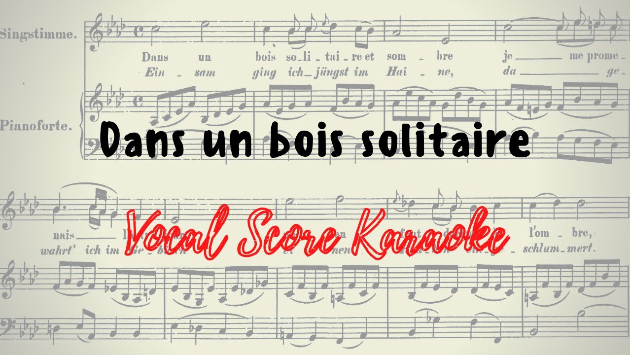 Dans un bois solitaire KARAOKE Piano accompaniment Mozart