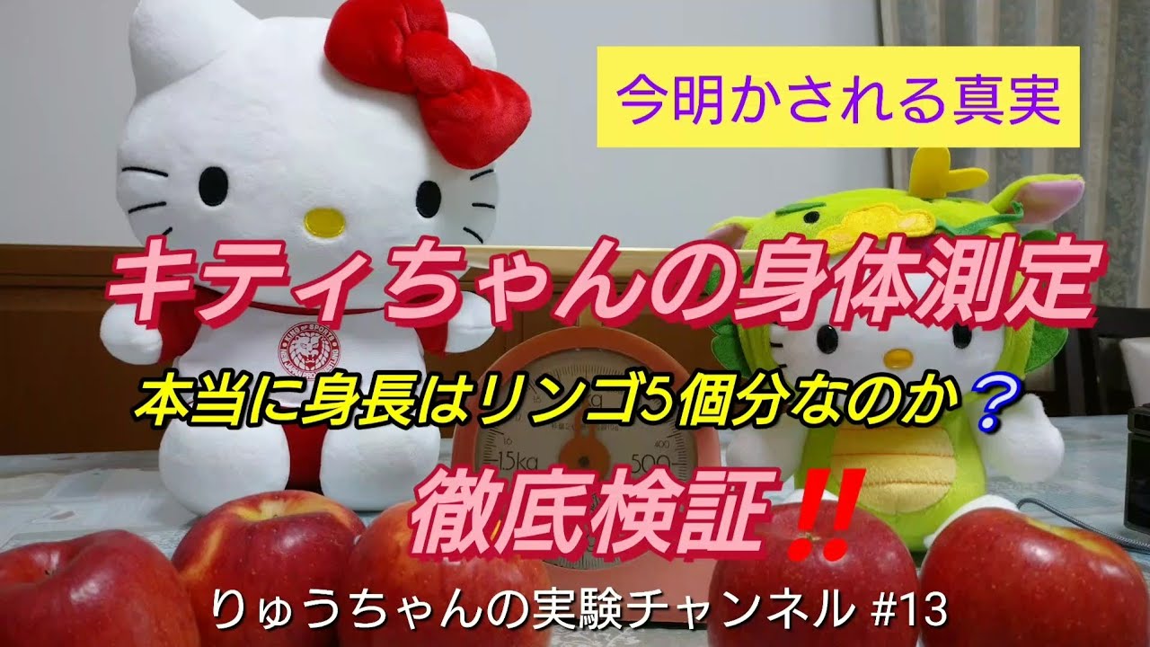 【検証】キティちゃんの身体測定 ハローキティの身長は本当にリンゴ5個分なのか？ サンリオ 【13】