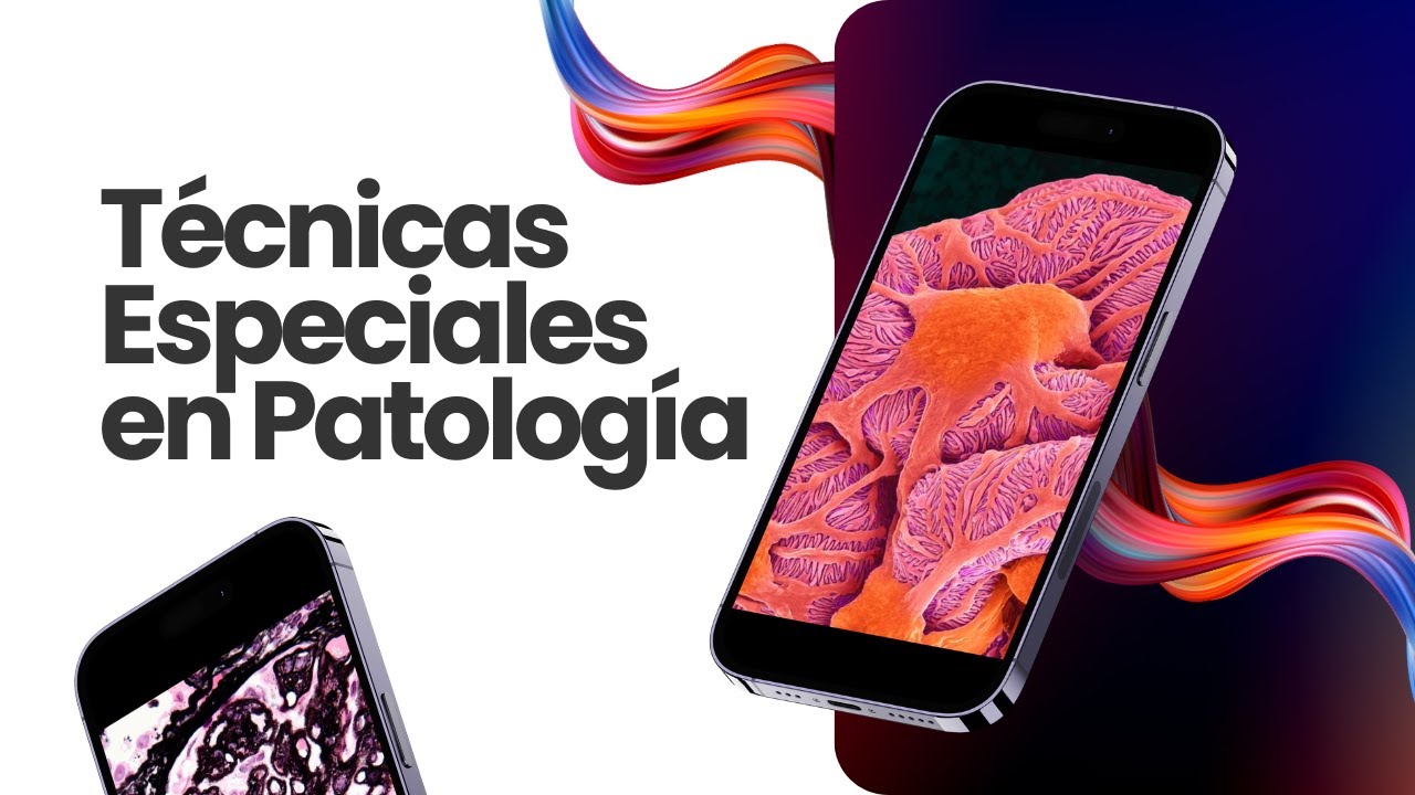 Diagnóstico en patología - Técnicas especiales