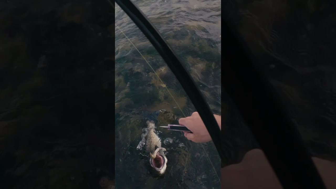 Seabass fishing, French west coast