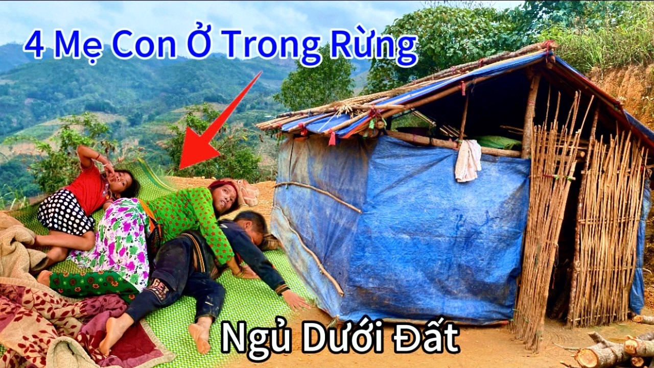 KHÔNG TIN NỔI, Túp Lều 4 Mẹ Con Ở Trong Rừng Liệu Có Dàng Dựng 