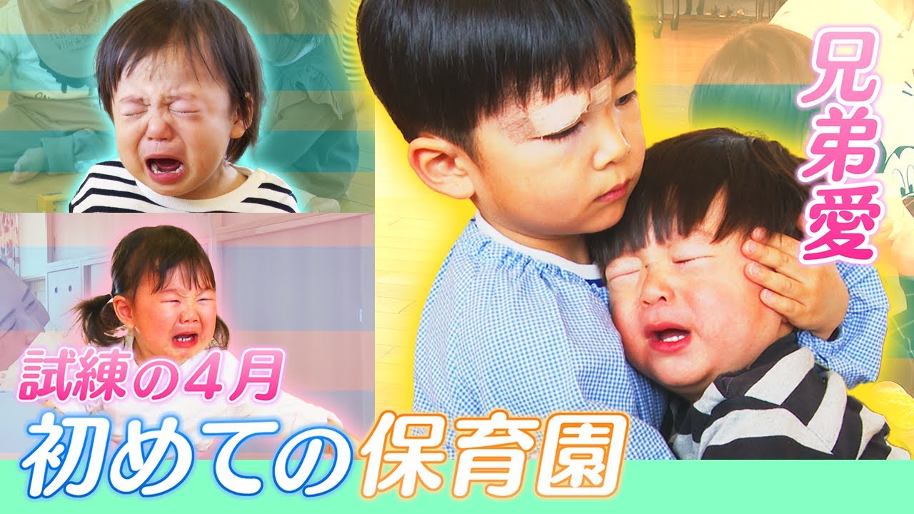 「初めての保育園」に密着　泣き叫ぶ子どもたち　弟を見守る兄の姿に兄弟愛も
