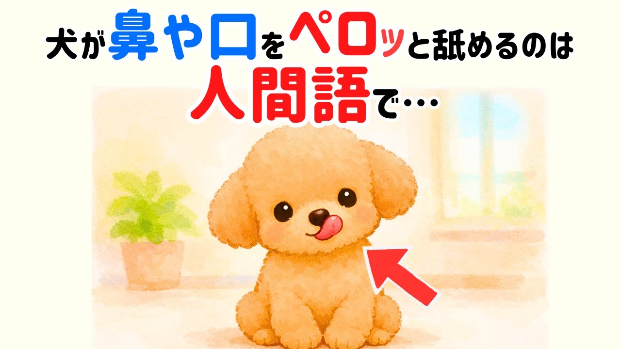 よくする、あの行動ってこういう意味だったんだ！【犬雑学】