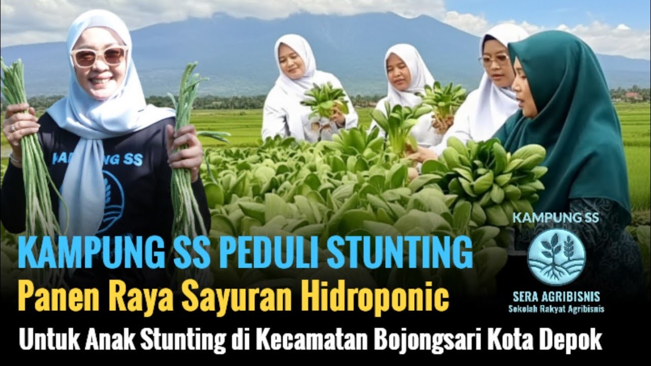 Panen Raya & Pembagian Sayuran Hidroponic Untuk Keluarga Stunting di Kecamatan Bojongsari Kota Depok