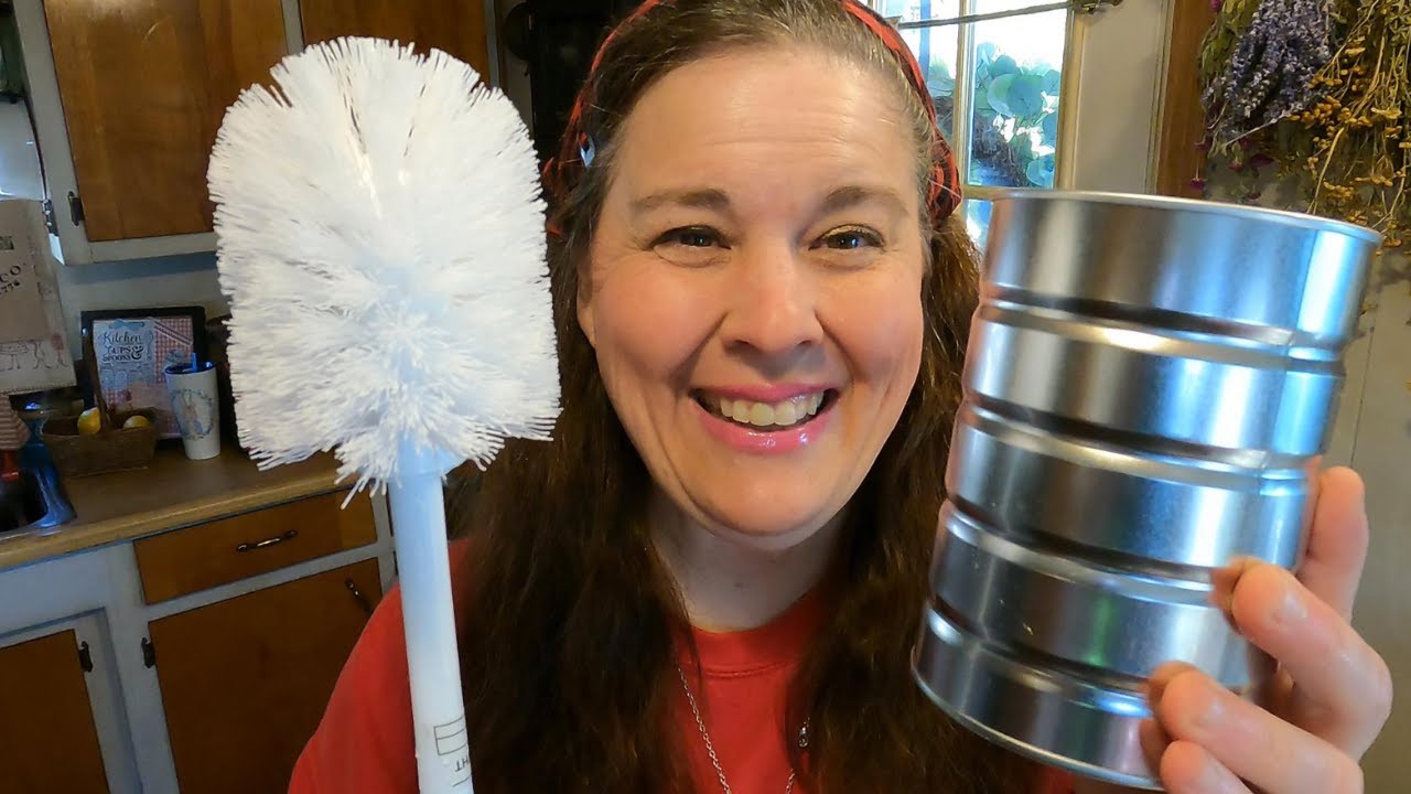 Toilet scrubber | 7 STRANGE Ways I saved Money!