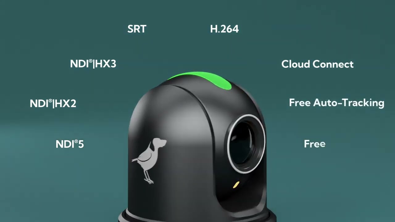 BirdDog - P110 & P120 PTZ Camera Intro