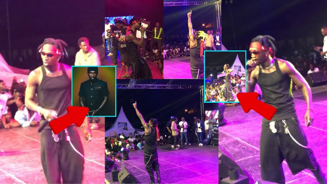 Rising Star Kwesi Taadi Thrilling Fans At Bongo Fest 🔥