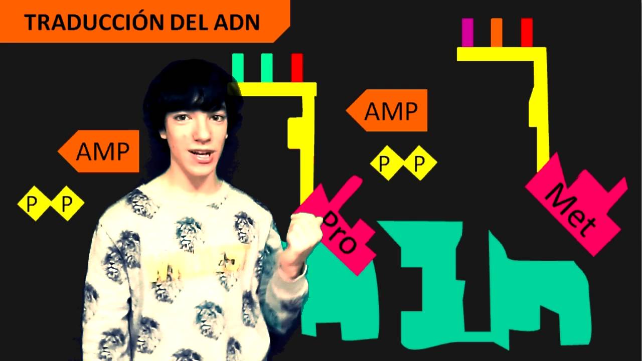 Elementos de Traducci&oacute;n del ARN