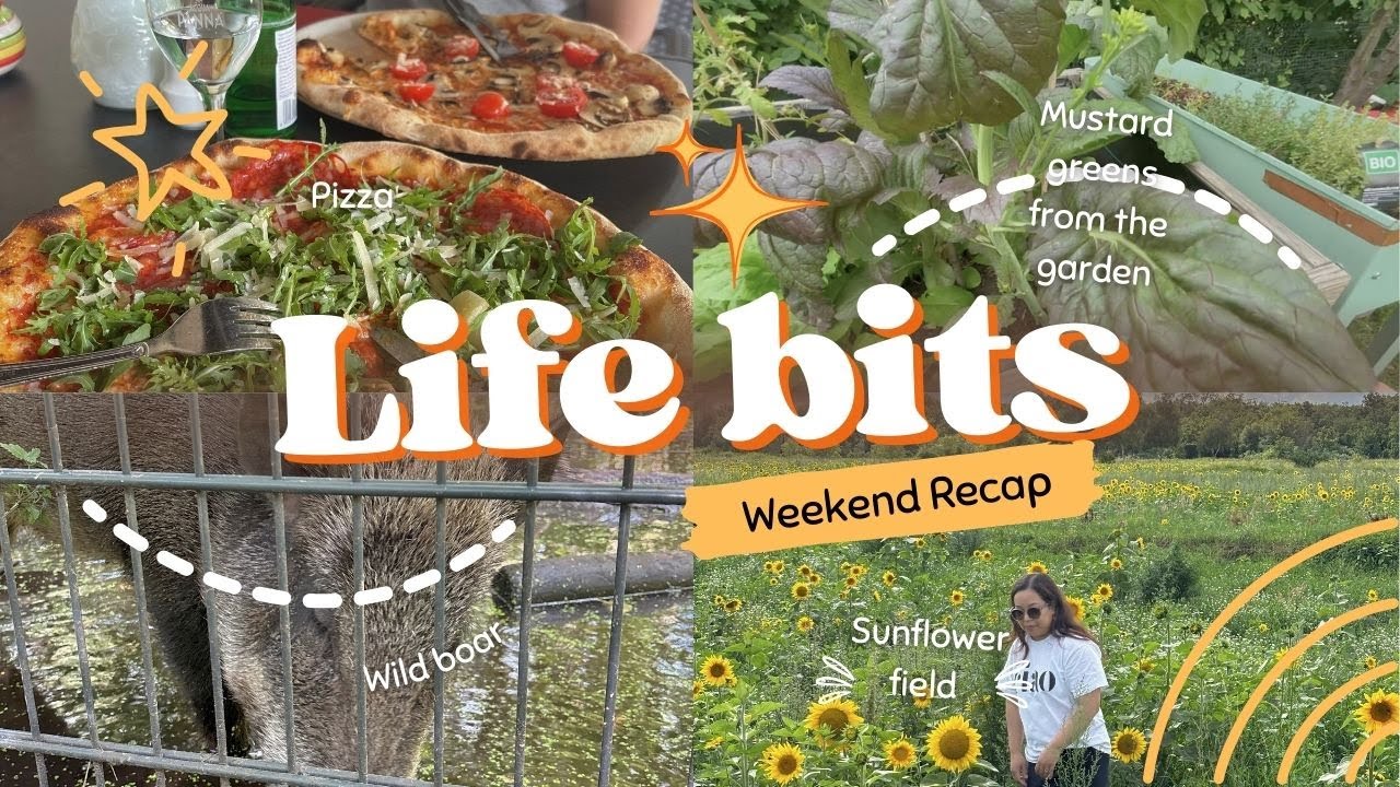 🌱 Picking Mustard Greens in Germany, Visiting Wild Pigs & Finding a Sunflower Paradise! 🌻🐖