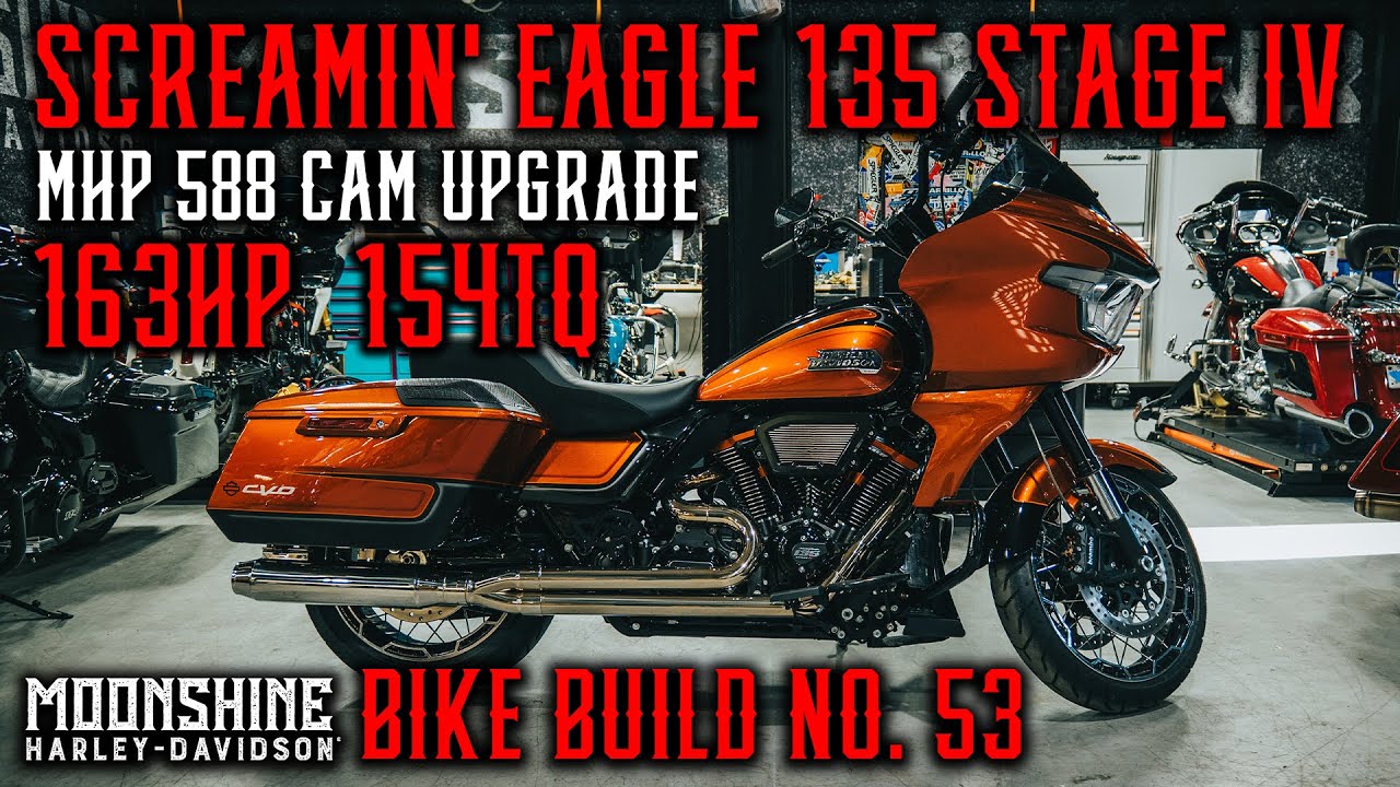 This Harley Build Has a Fluffy Surprise! | Bike Build No. 53 Whiskey Neat!