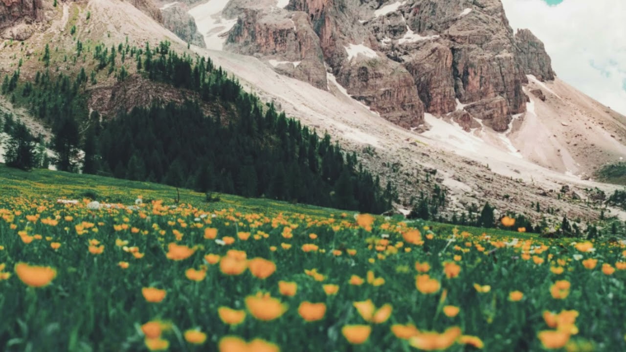 New Instrumental Guitar and String