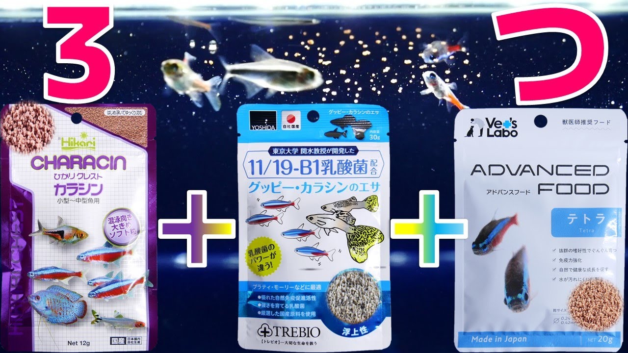 【餌】テトラに使う餌はこれでしょ！最有力候補を全部開封してみた。ひかりクレストカラシン、吉田飼料グッピー・カラシンのエサ、アドバンスフィードテトラ【ふぶきテトラ】
