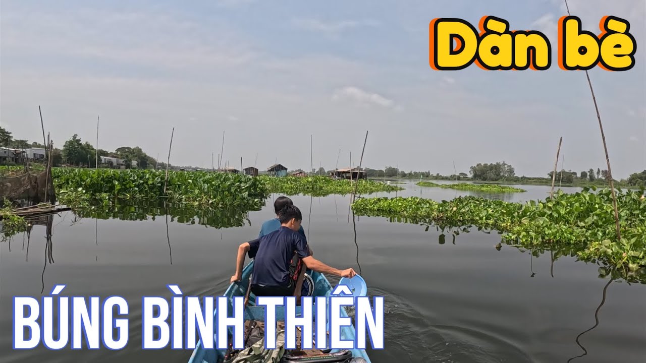 Câu cá ở dàn bè Búng Bình Thiên kiếm cá mè vinh về kho lạt