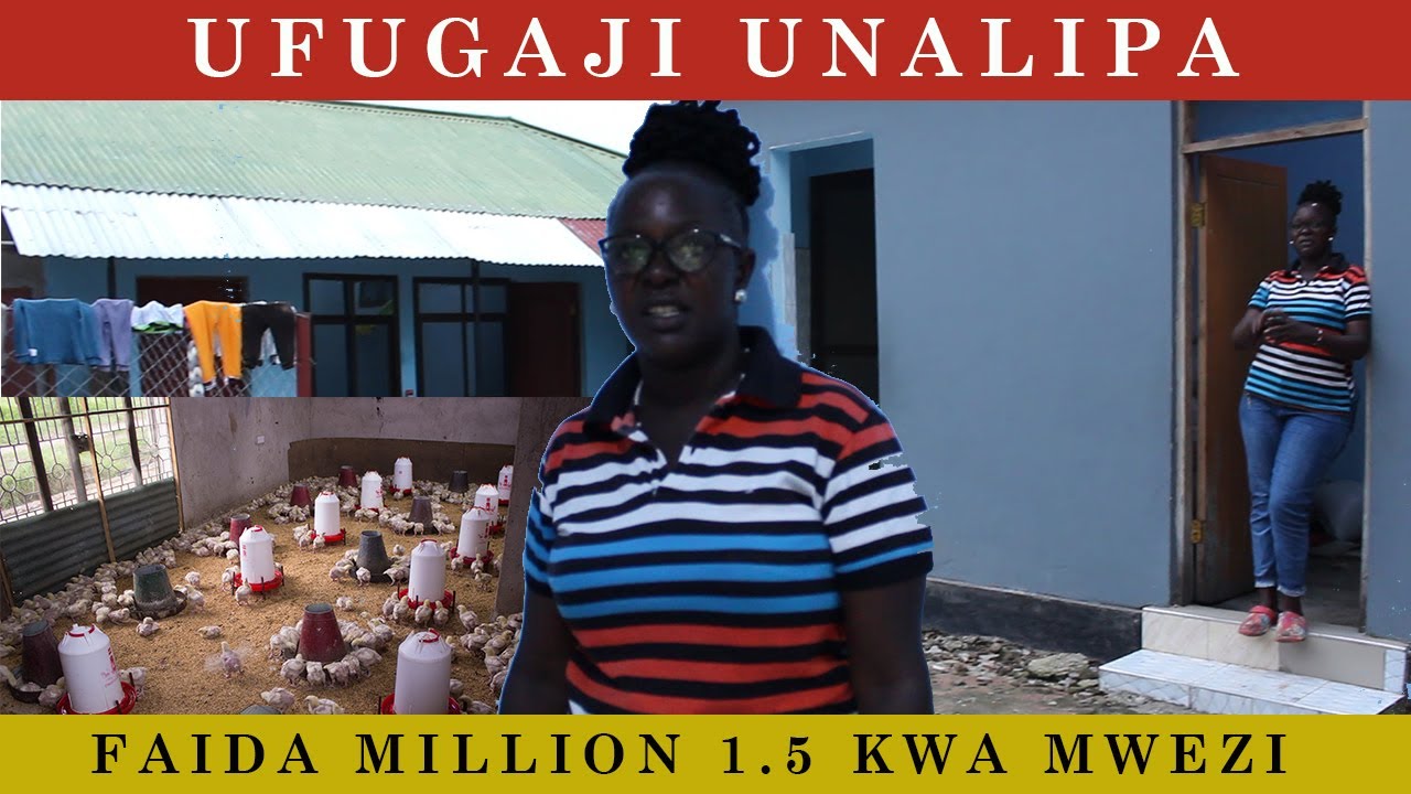 Dada Alieacha Kazi TBL 🍺 akawa Mfugaji, Anatengeneza 💰Faida Million 1.5 kila Mwezi.