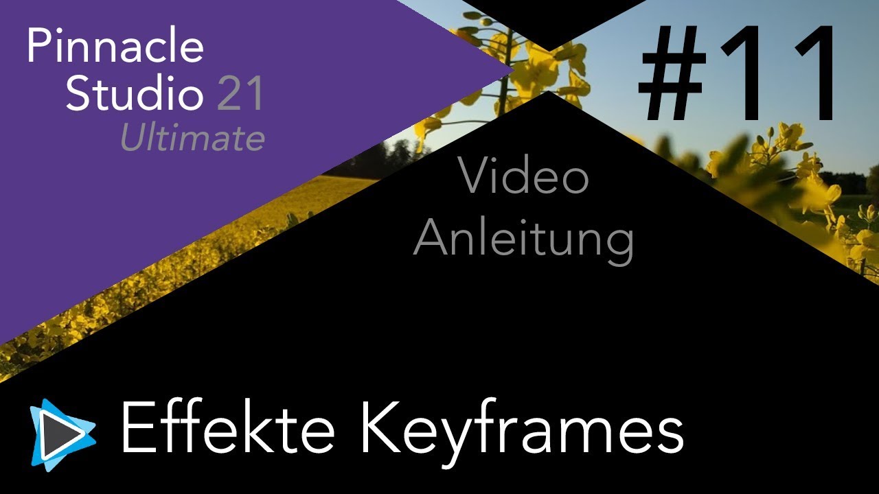 Keyframes und Effekte in Pinnacle Studio 21 Video Tutorial Deutsch #11