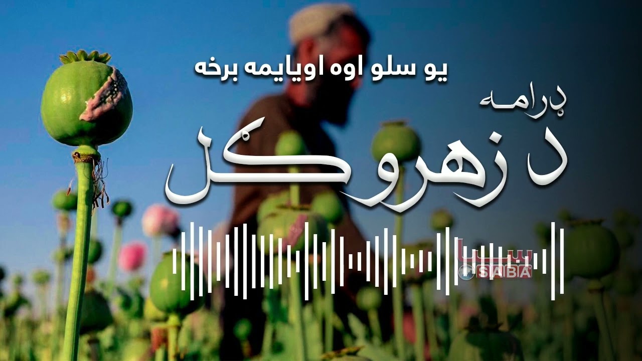 De Zahro Gul - Episode One Hundred Seventy Seven | د زهرو ګل - یو سلو اووه اویایمه برخه
