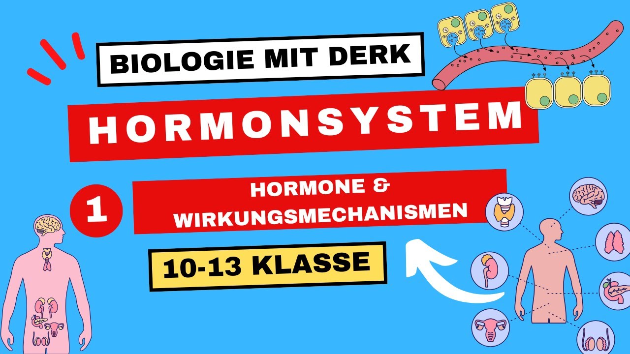 Hormonsystem | 1 | Hormone & Wirkungsmechanismen | 10 - 13 Klasse