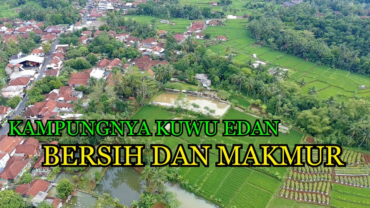 BIKIN BETAH!!! SUASANA PAGI  DI KAMPUNG KUWU EDAN.
