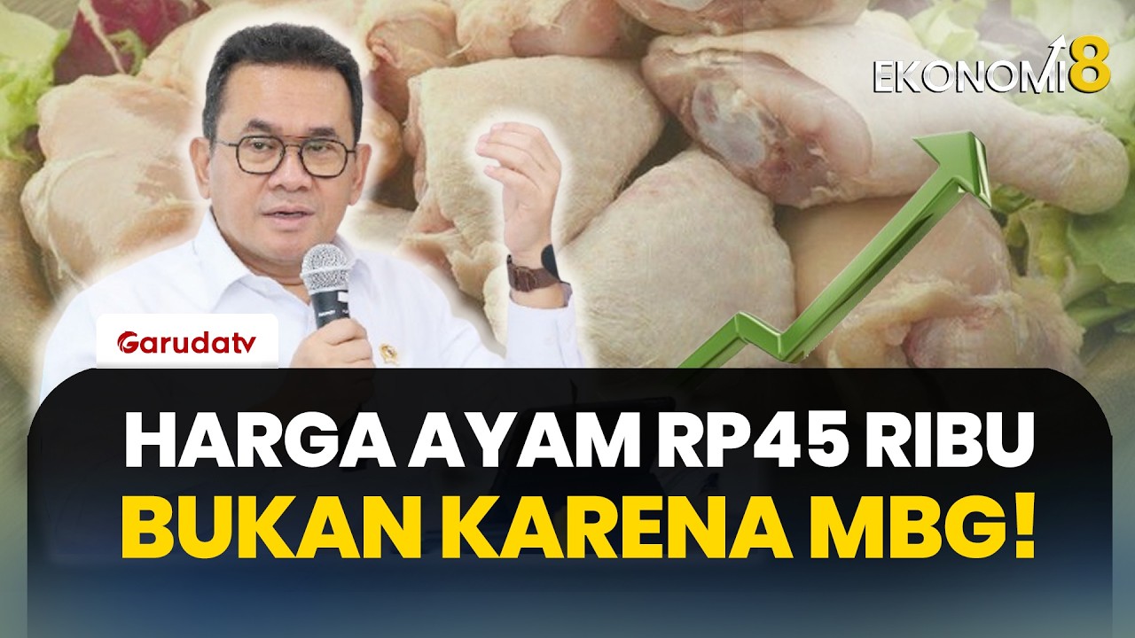 Mendag Bantah Program MBG Picu Harga Ayam Mahal: Justru Ciptakan Kepastian Pasar & Produksi