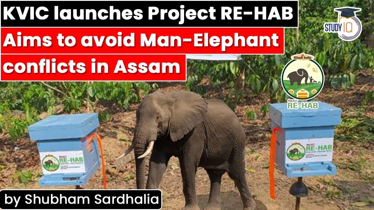 KVIC launches Project RE HAB in Assam to prevent Man Elephant Conflicts using tiny bees | APSC UPSC