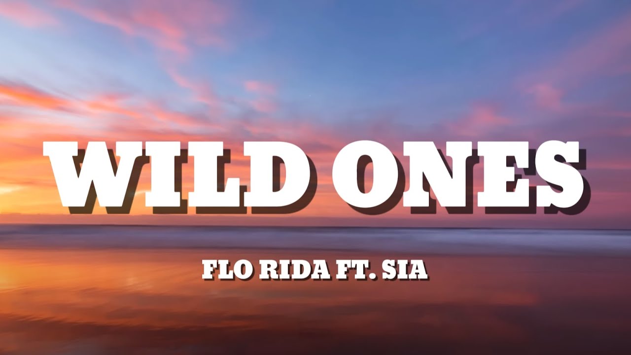 Flo Rida - Wild Ones (lyrics) ft. Sia