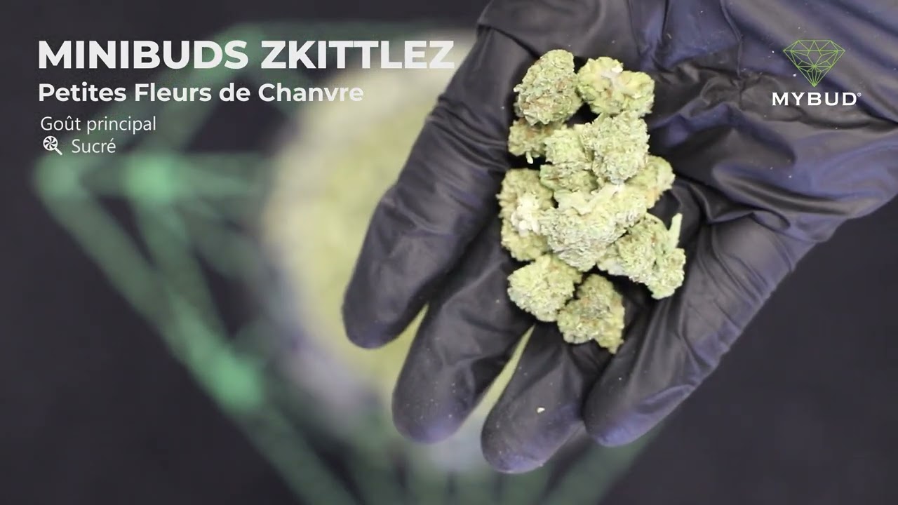 Minibuds Zkittlez CBD - Petites Fleurs Sucr&eacute;es