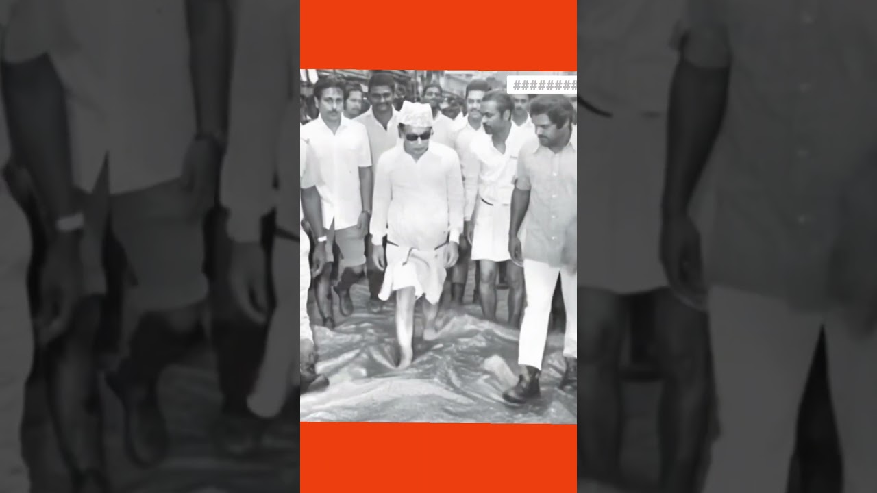 MGR rare unseen Pic l #ai #viralvideo #viralshorts #mgr #admk #dmk #tamilpolitician #tamilactor