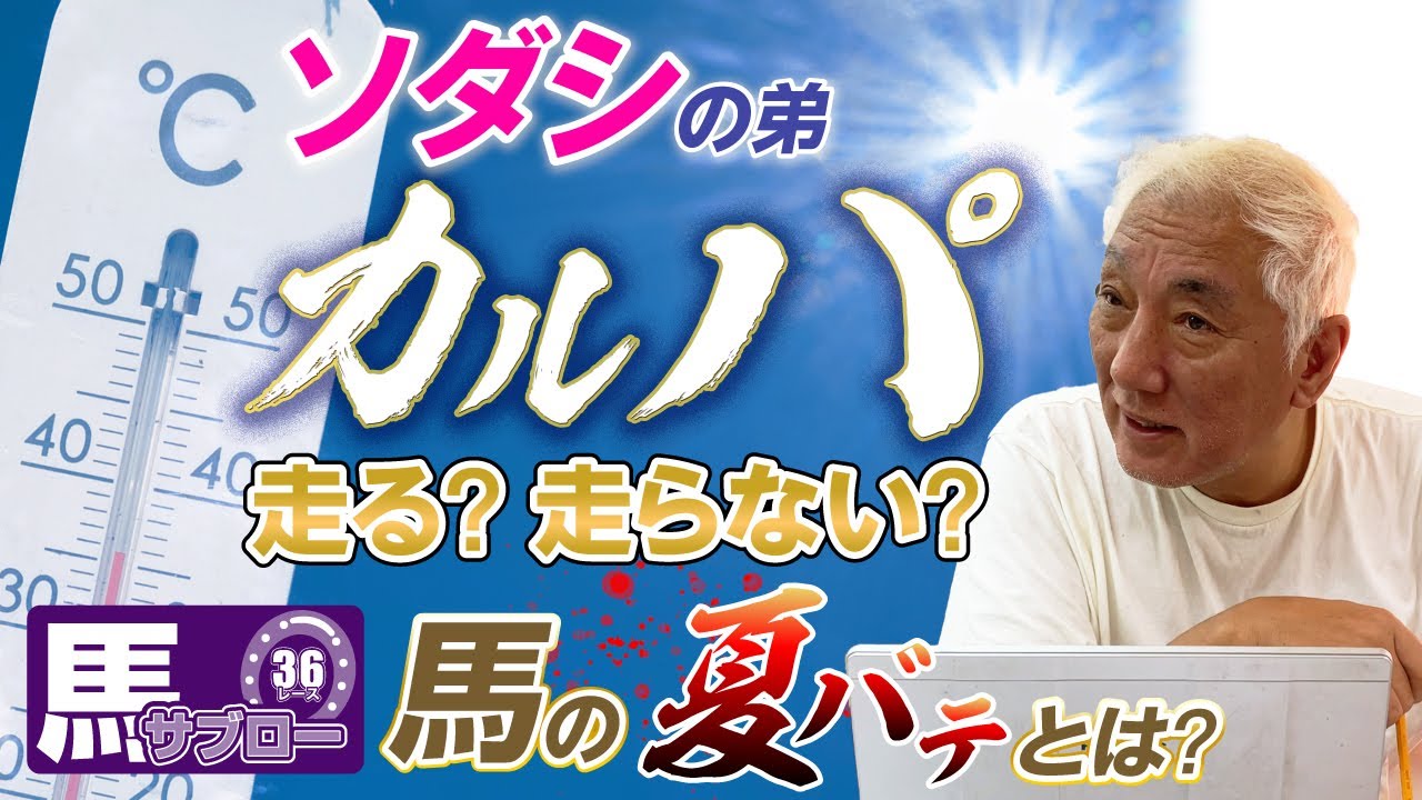 【カルパ】ソダシの弟カルパの弥永評価は？馬も夏バテをする？