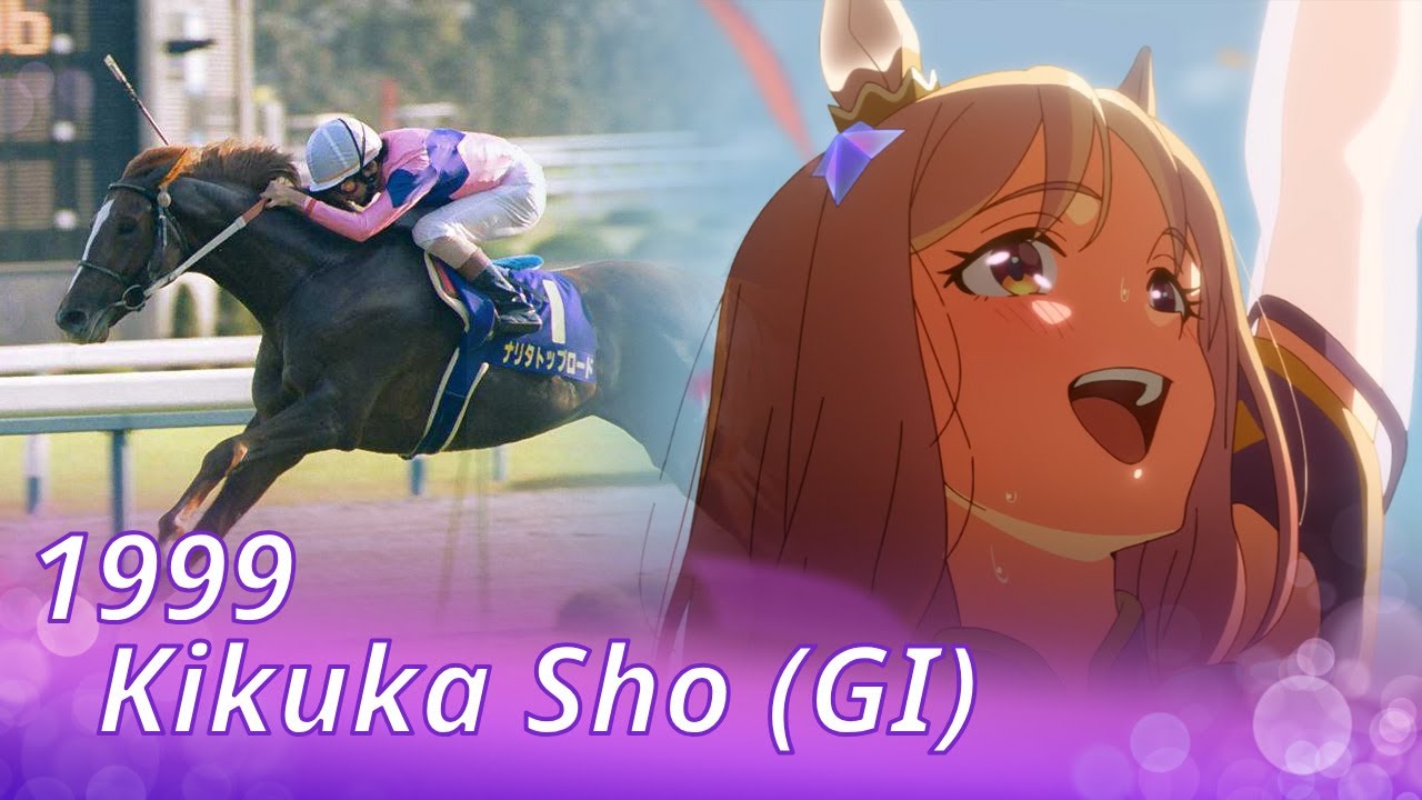 1999 Kikuka Sho  (GⅠ) : Narita Top Road