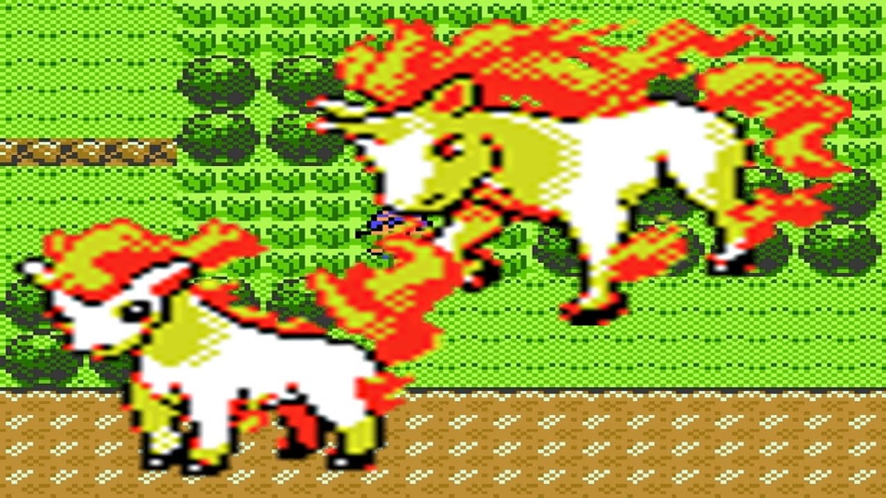 How to find Ponyta and Rapidash in Pokemon Crystal
