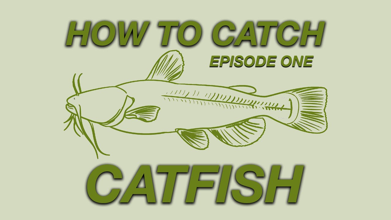 HOW TO CATCH CATFISH (Fishing at Fischer Park in New Braunfels Texas)