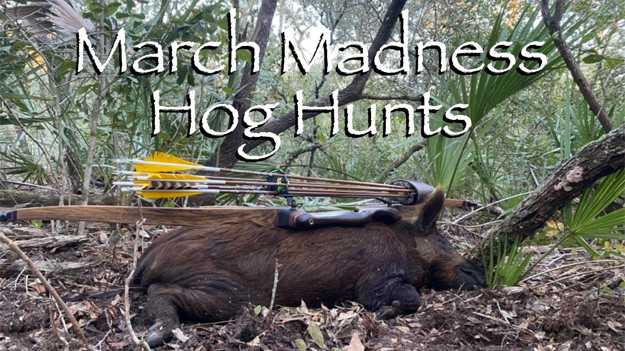 March Madness Hog Hunts-Traditional Bowhunting