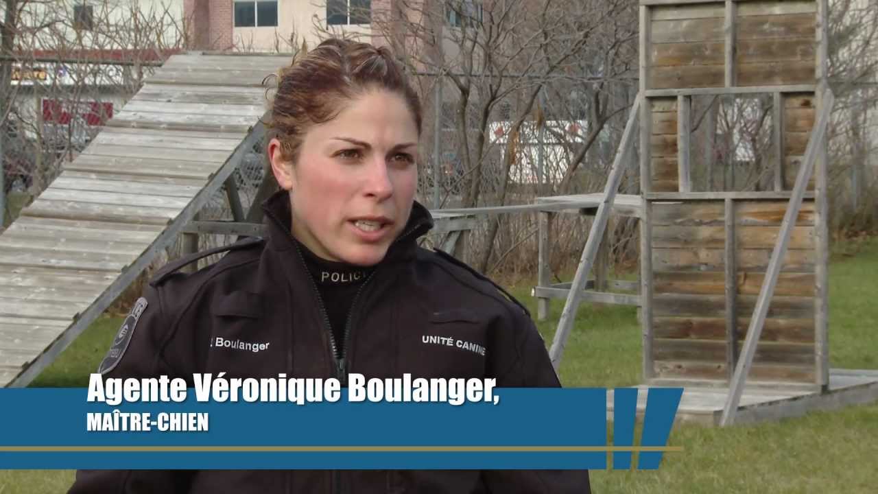 Unité canine du SPVG : la formation des maîtres-chiens