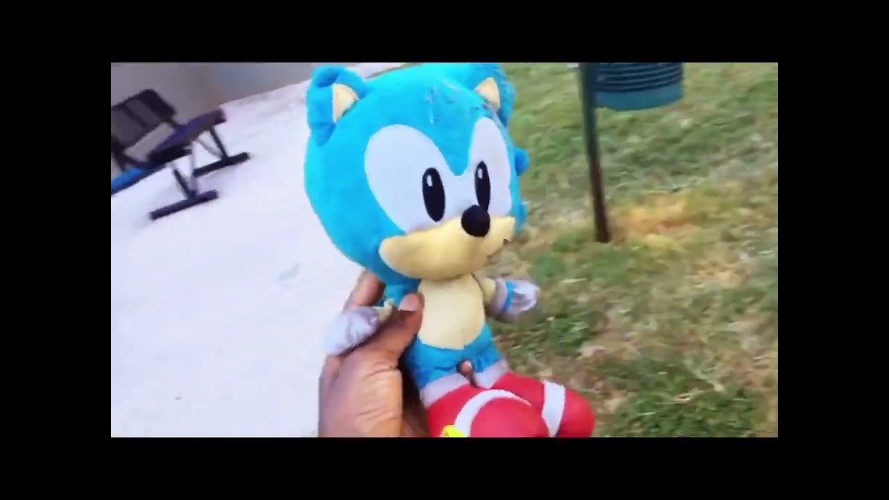 Sonic Tails and knuckles play outside￼