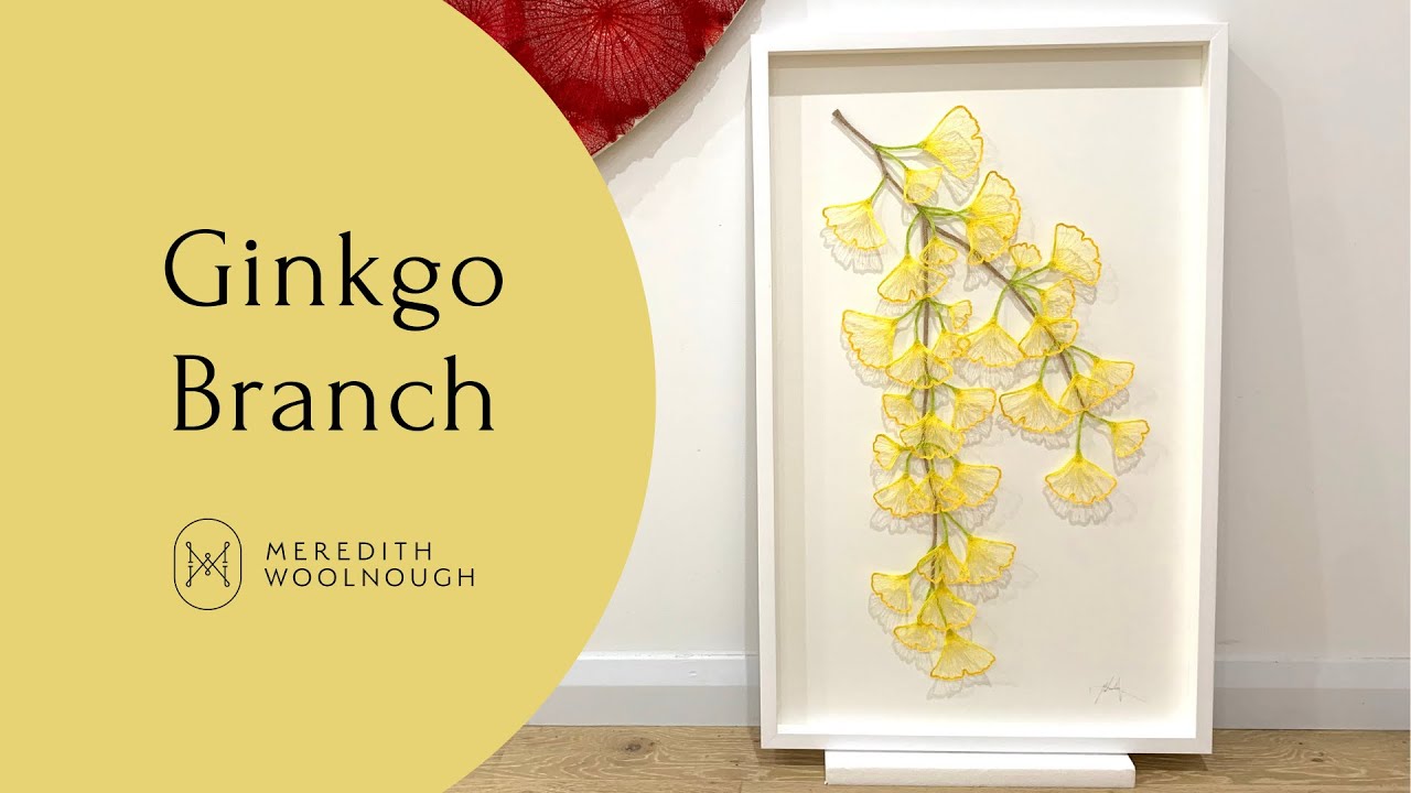 Ginkgo Branch process video