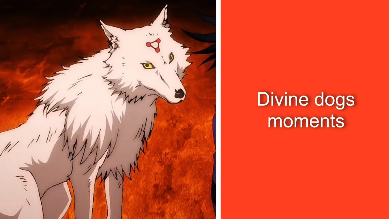 Divine dogs (jujutsu kaisen) moments 