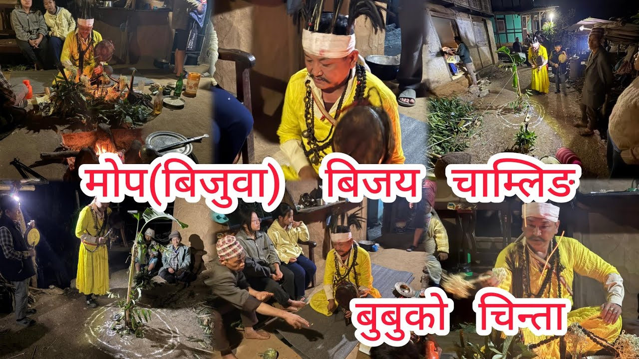 मोप(बिजुवा) बिजय चाम्लिङ बुबुको चाम्चे(चिन्ता) Kirat Rai Shamanism 