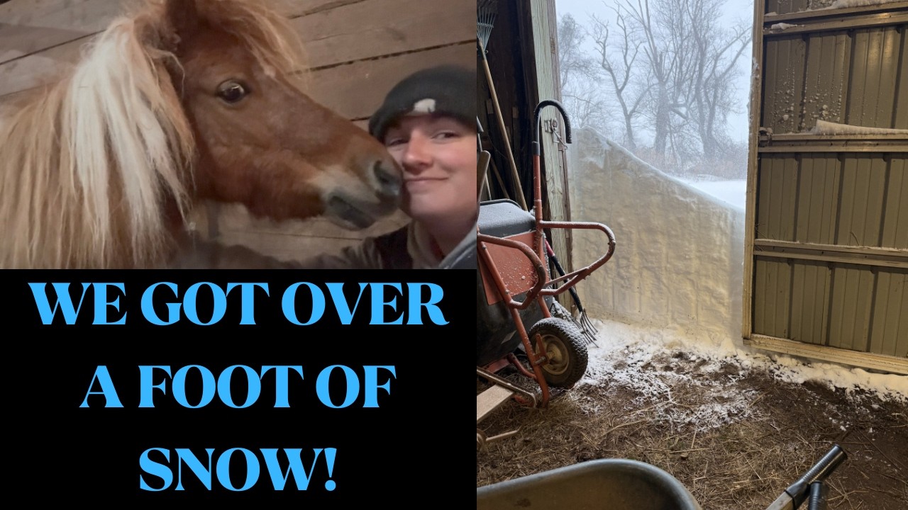 Taking Care of 30 Horses in a Blizzard... By Myself
