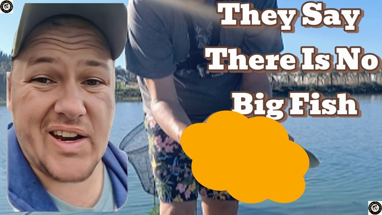 Paarl Dam Method Feeder Fishing | Big Carp on the Bank!