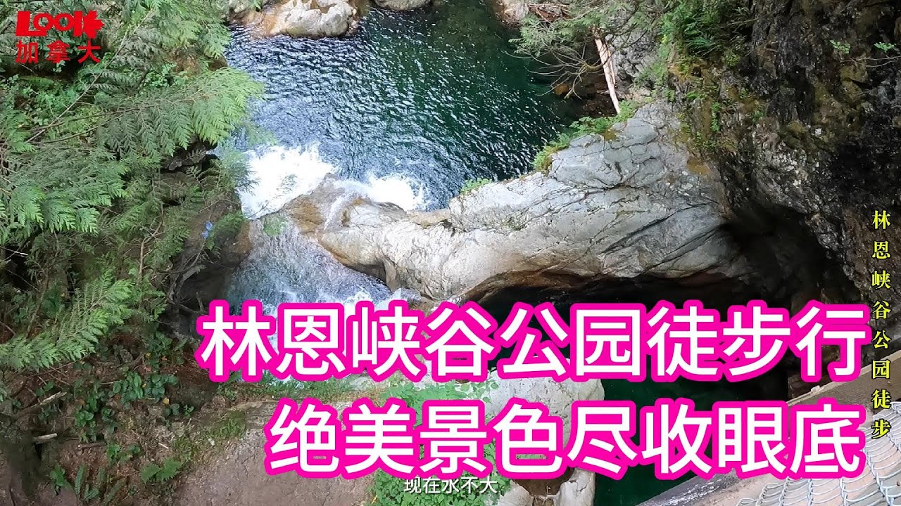 【斌主播户外】北温林恩峡谷公园20多名好友徒步10公里，用时近3个小时，纯自然的小博物馆应有尽有（欢迎订阅斌主播视频）