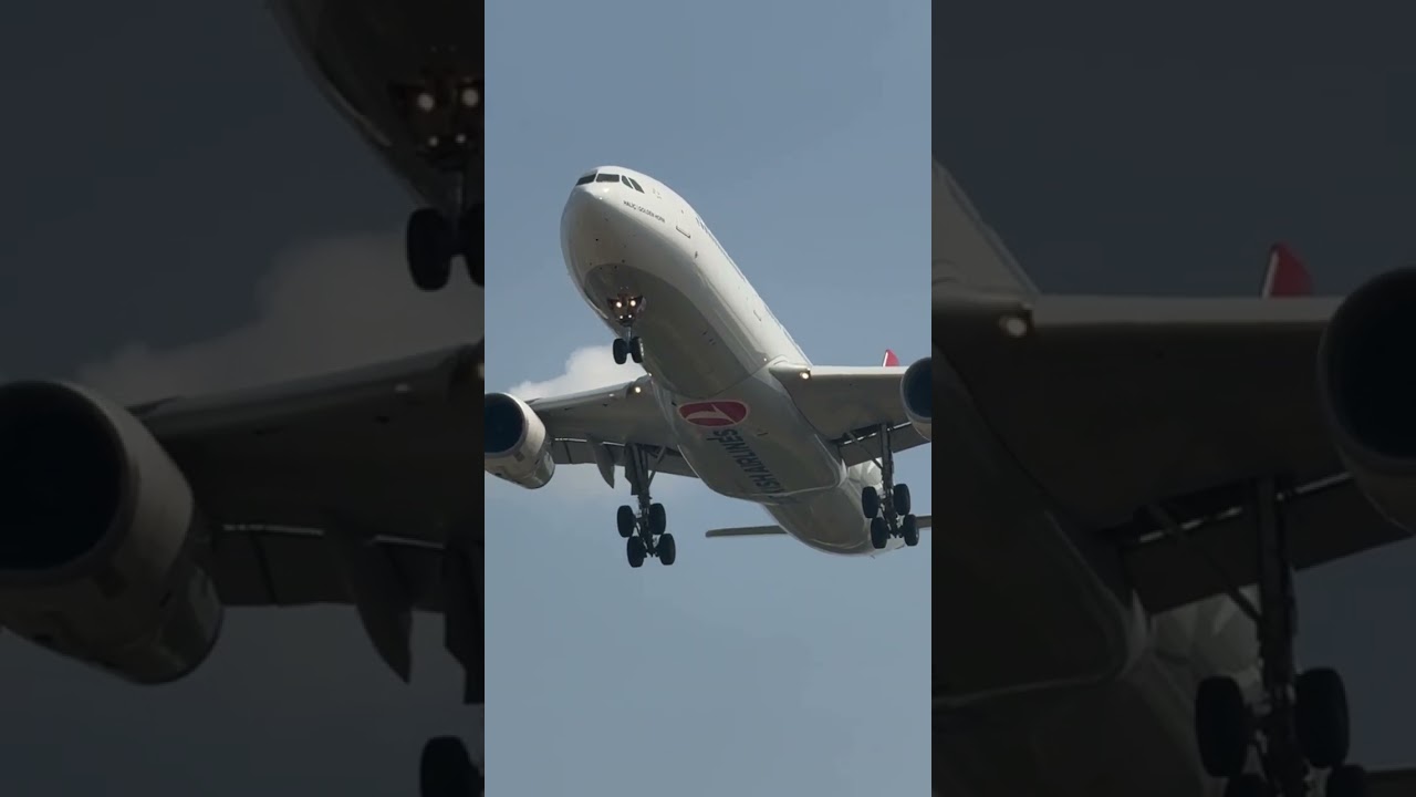 🇹🇷 Turkish Airlines A333 &ldquo;Hali&ccedil; (Golden Horn)&rdquo; ✈️ Insane Gear Close-Up at Heathrow 🛬🔥