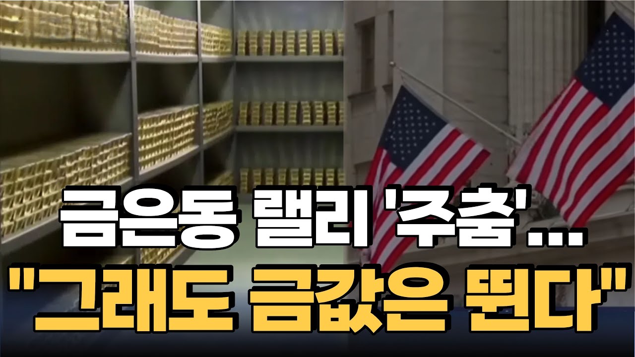 지금 금 안 사면  후회 하는 이유는?