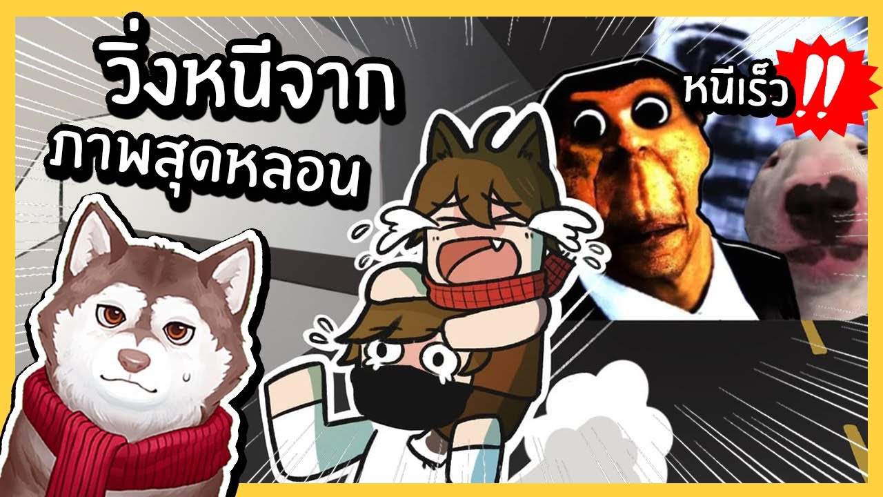 หมาสติแตกหนีจากรูปภาพสุดหลอน! ที่นี่ที่ไหนเนี่ย~🐾